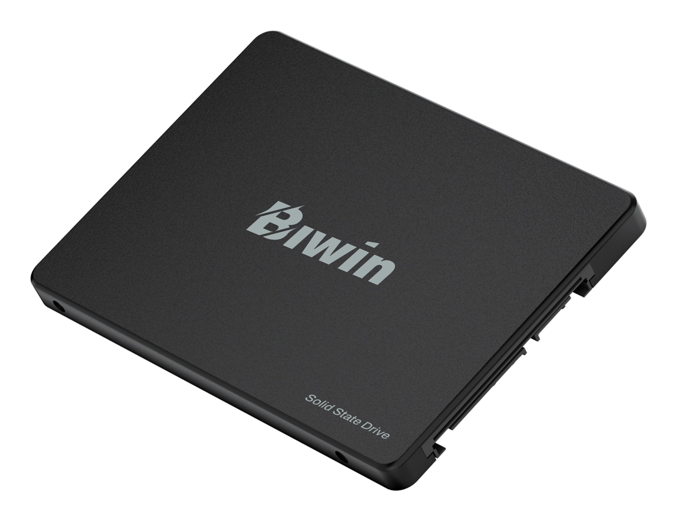Biwin M100 1TB 2.5