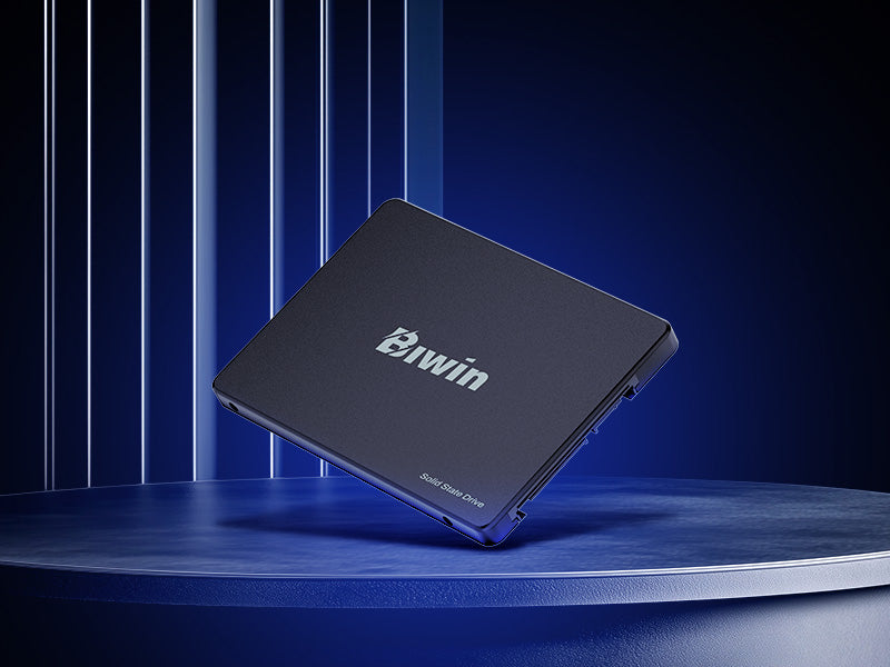 Biwin M100 1TB 2.5