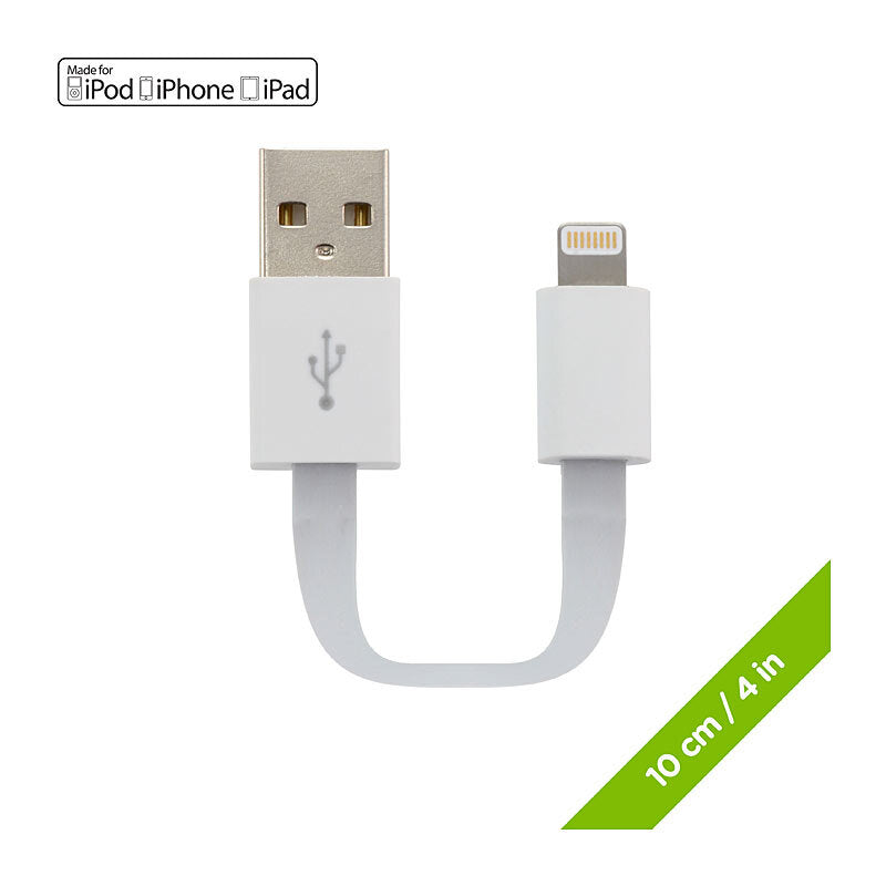 Gaming DesktopMoki SynCharge Pocket Cable