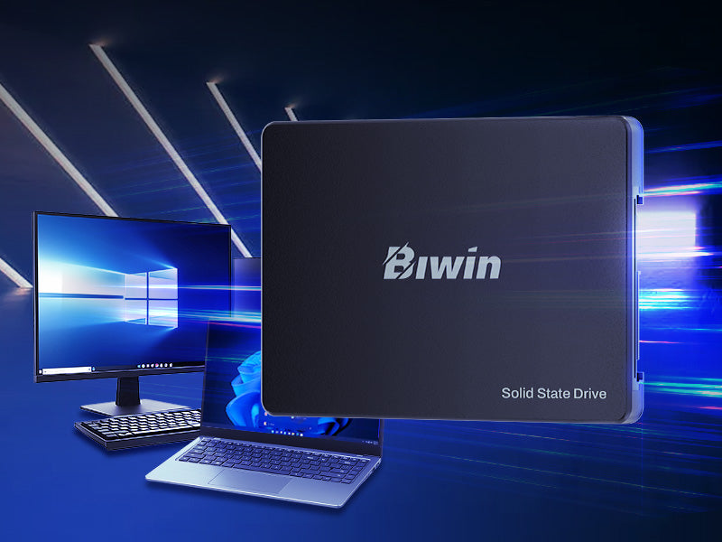 Biwin M100 512GB 2.5