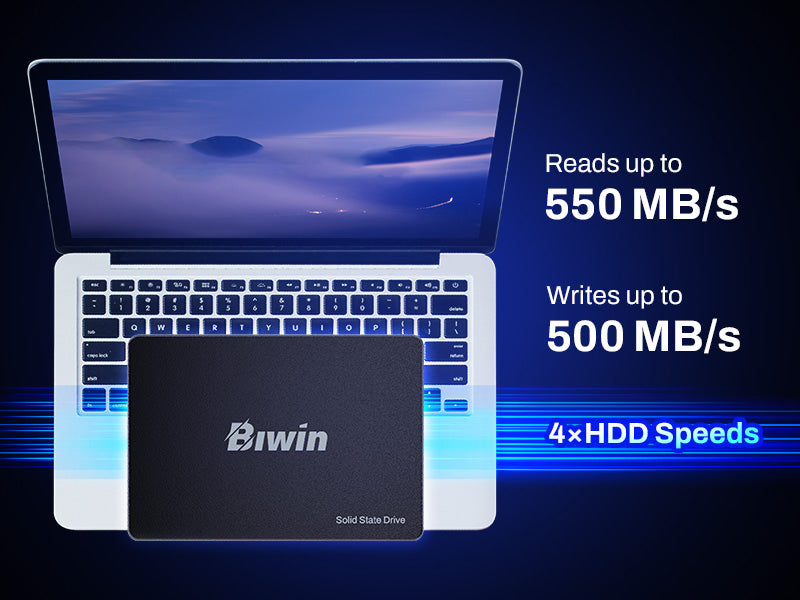 Biwin M100 1TB 2.5