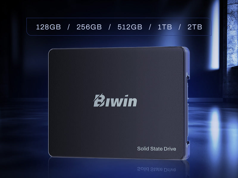 Biwin M100 1TB 2.5