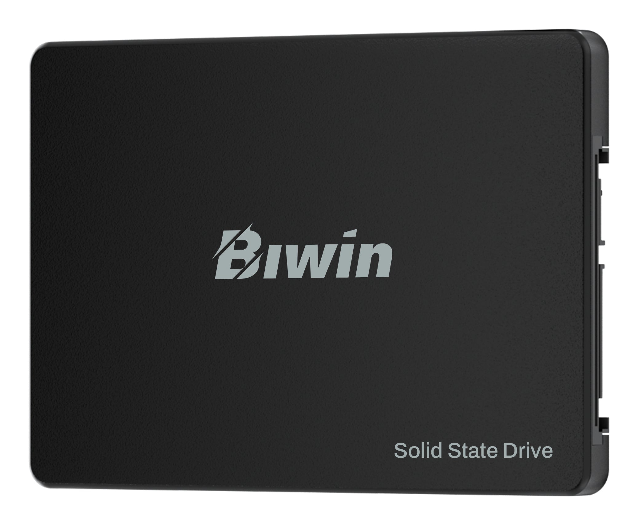 Biwin M100 512GB 2.5